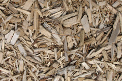 biomass boilers Combe Hay